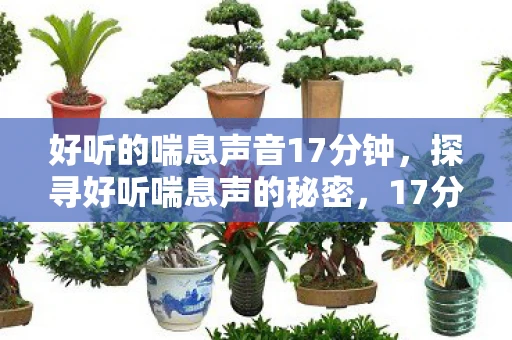 好听的喘息声音17分钟，探寻好听喘息声的秘密，17分钟揭秘