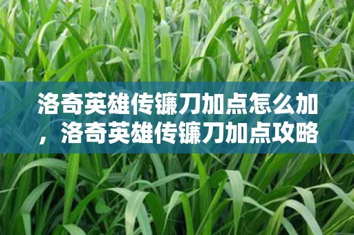 洛奇英雄传镰刀加点怎么加，洛奇英雄传镰刀加点攻略，打造最强镰刀战士