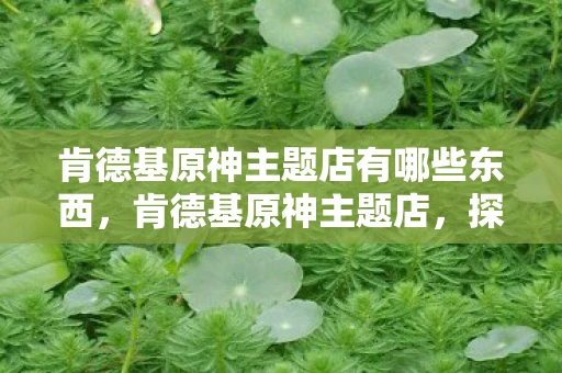 肯德基原神主题店有哪些东西，肯德基原神主题店，探索美食与游戏的奇妙融合