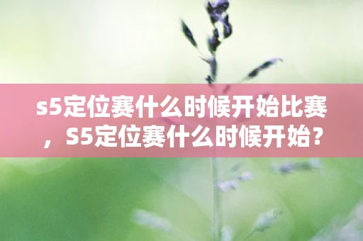 s5定位赛什么时候开始比赛，S5定位赛什么时候开始？