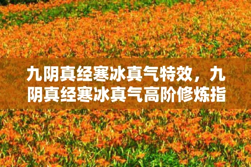 九阴真经寒冰真气特效，九阴真经寒冰真气高阶修炼指南