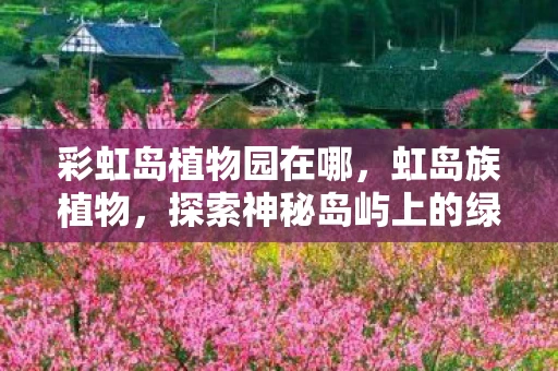 彩虹岛植物园在哪，虹岛族植物，探索神秘岛屿上的绿色奇迹