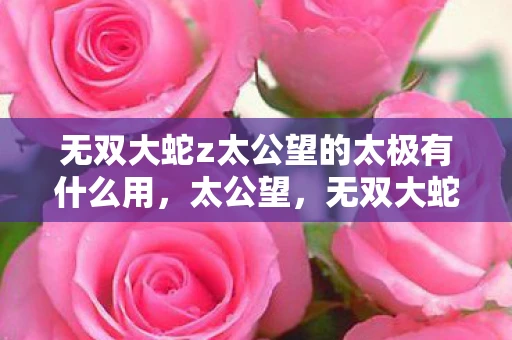 无双大蛇z太公望的太极有什么用，太公望，无双大蛇Z中的传奇智者