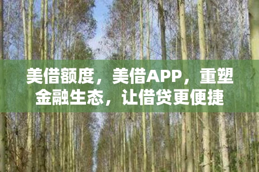 美借额度，美借APP，重塑金融生态，让借贷更便捷