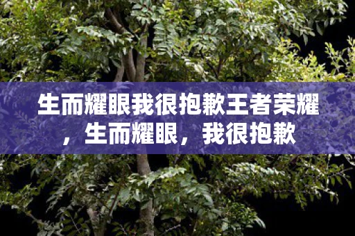 生而耀眼我很抱歉王者荣耀，生而耀眼，我很抱歉