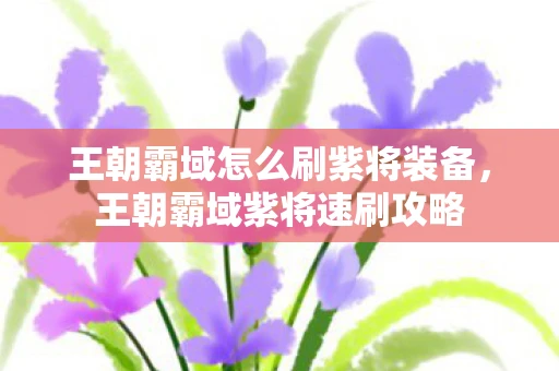 王朝霸域怎么刷紫将装备，王朝霸域紫将速刷攻略