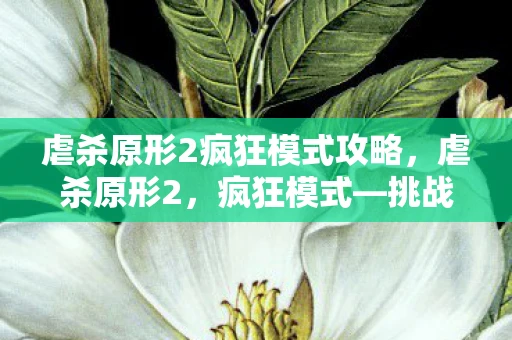虐杀原形2疯狂模式攻略，虐杀原形2，疯狂模式—挑战极限，释放你的潜能！