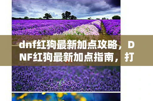 dnf红狗最新加点攻略，DNF红狗最新加点指南，打造你的战斗狂潮