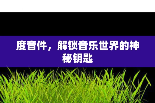 度音件，解锁音乐世界的神秘钥匙