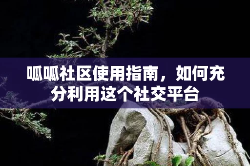 如何充分利用这个社交平台图片