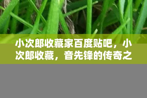 小次郎收藏家百度贴吧，小次郎收藏，音先锋的传奇之旅