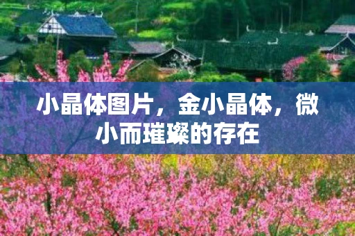 小晶体图片，金小晶体，微小而璀璨的存在