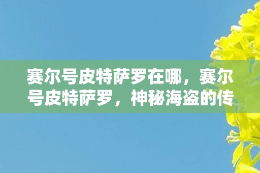 赛尔号皮特萨罗在哪，赛尔号皮特萨罗，神秘海盗的传奇故事