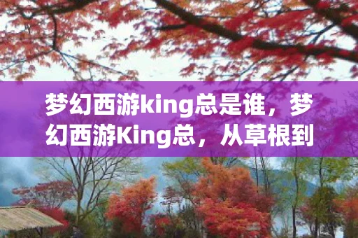 梦幻西游king总是谁，梦幻西游King总，从草根到传奇的逆袭之路