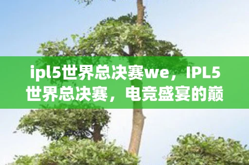 ipl5世界总决赛we，IPL5世界总决赛，电竞盛宴的巅峰对决