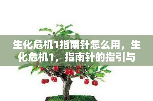 生化危机1指南针怎么用，生化危机1，指南针的指引与生存之路