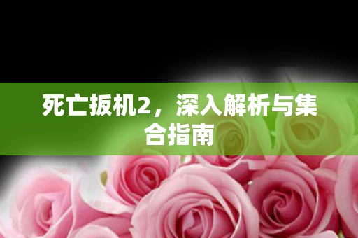 深入解析与集合指南图片