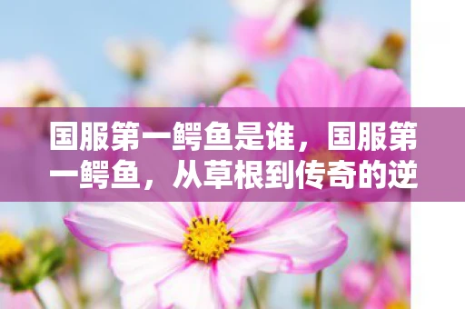 国服第一鳄鱼是谁，国服第一鳄鱼，从草根到传奇的逆袭之路