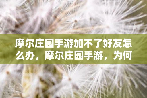 摩尔庄园手游加不了好友怎么办，摩尔庄园手游，为何无法添加好友？解决方法与常见问题解析