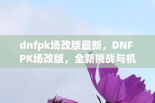 dnfpk场改版最新，DNF PK场改版，全新挑战与机遇
