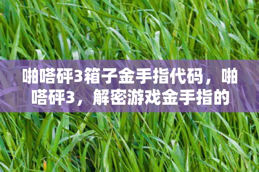 啪嗒砰3箱子金手指代码，啪嗒砰3，解密游戏金手指的奥秘