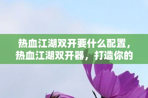 热血江湖双开要什么配置，热血江湖双开器，打造你的游戏新体验