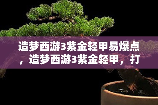 造梦西游3紫金轻甲易爆点，造梦西游3紫金轻甲，打造最强战甲的传奇之旅