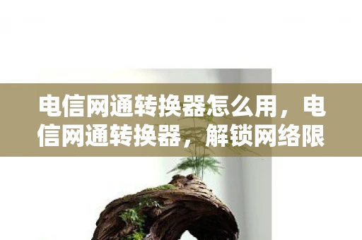 电信网通转换器怎么用，电信网通转换器，解锁网络限制，提升网络体验的新利器