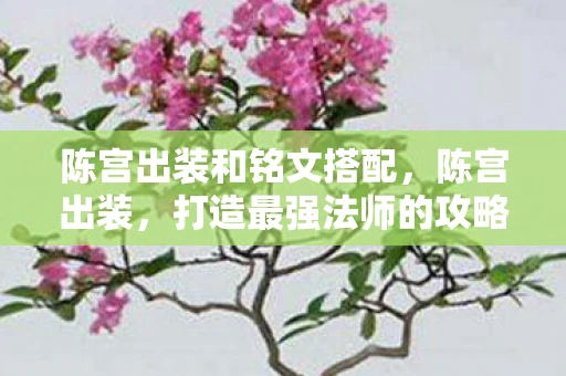陈宫出装和铭文搭配，陈宫出装，打造最强法师的攻略