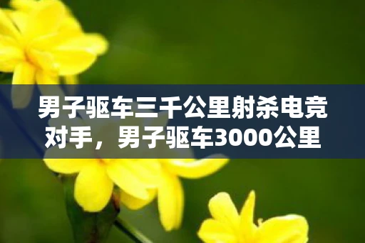 男子驱车三千公里射杀电竞对手，男子驱车3000公里杀电竞对手，虚拟世界与现实生活的界限