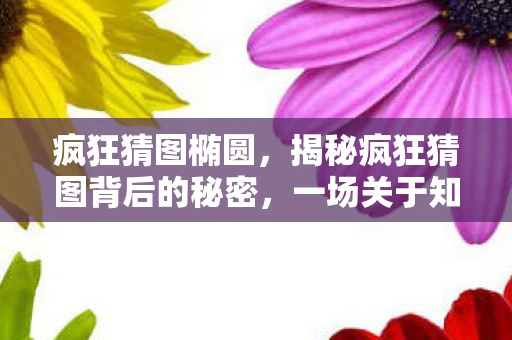 疯狂猜图椭圆，揭秘疯狂猜图背后的秘密，一场关于知识共享与娱乐的盛宴