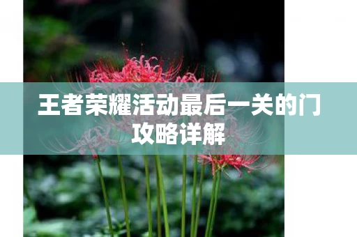 王者荣耀活动最后一关的门攻略详解图片