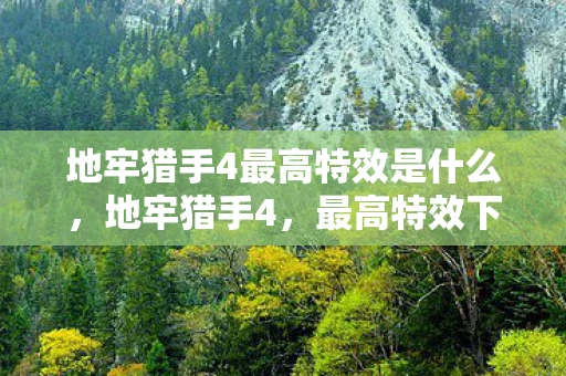 地牢猎手4最高特效是什么，地牢猎手4，最高特效下的魔幻冒险