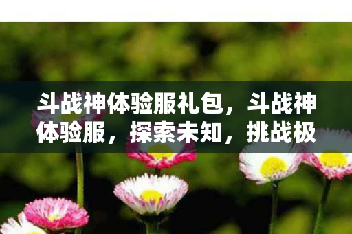 斗战神体验服礼包，斗战神体验服，探索未知，挑战极限