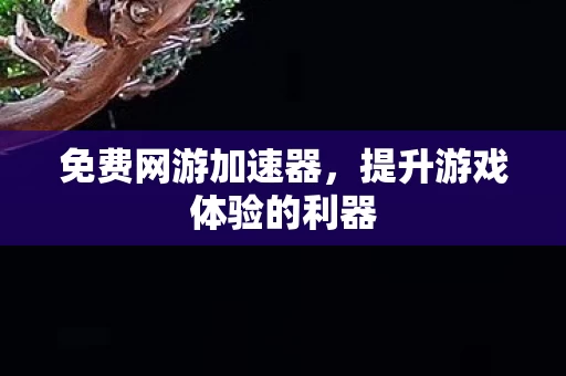 提升游戏体验的利器图片