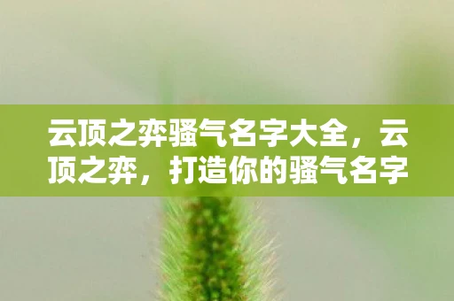 云顶之弈骚气名字大全，云顶之弈，打造你的骚气名字