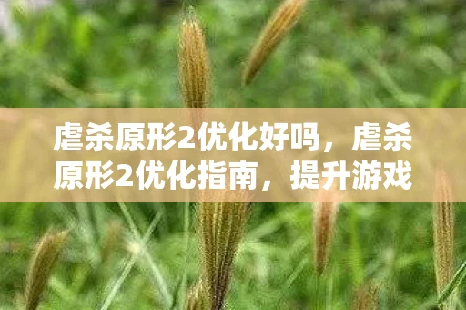 虐杀原形2优化好吗，虐杀原形2优化指南，提升游戏体验的终极秘籍