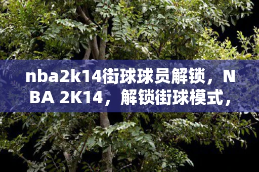 nba2k14街球球员解锁，NBA 2K14，解锁街球模式，重温经典篮球回忆