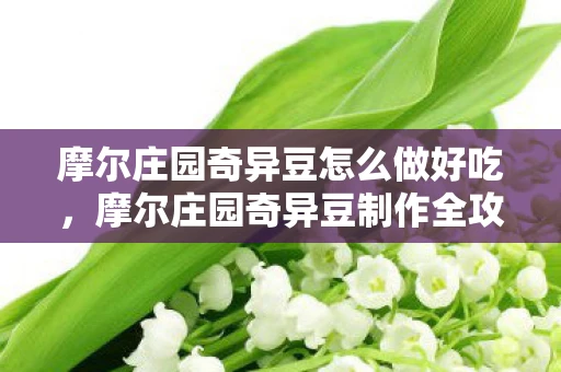摩尔庄园奇异豆怎么做好吃，摩尔庄园奇异豆制作全攻略