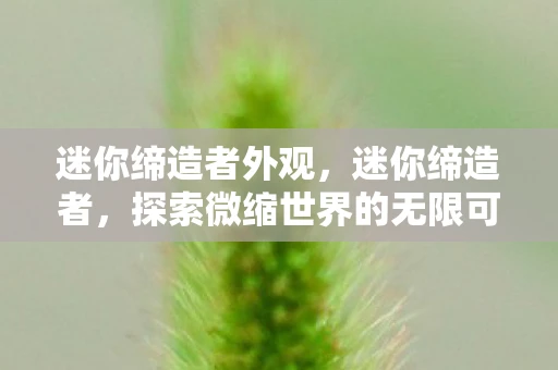 迷你缔造者外观，迷你缔造者，探索微缩世界的无限可能