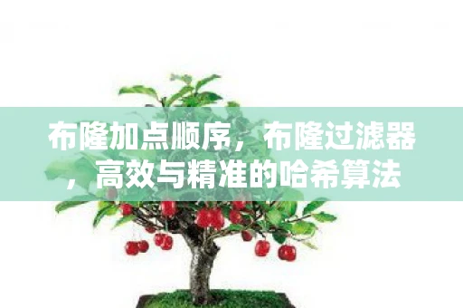 布隆加点顺序，布隆过滤器，高效与精准的哈希算法