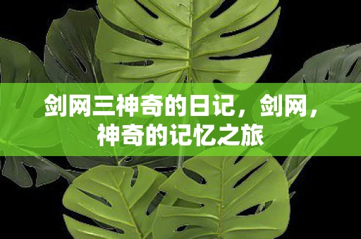 剑网三神奇的日记，剑网，神奇的记忆之旅