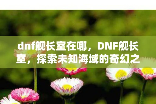 dnf舰长室在哪，DNF舰长室，探索未知海域的奇幻之旅