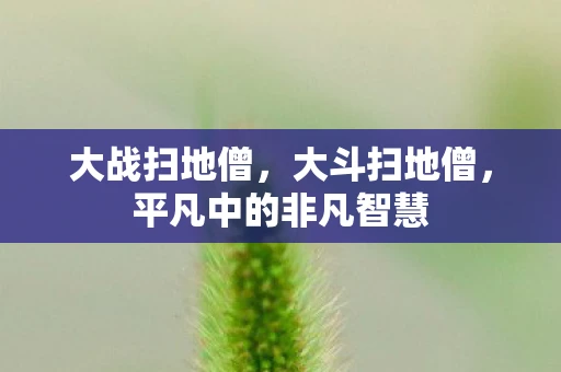 大战扫地僧，大斗扫地僧，平凡中的非凡智慧