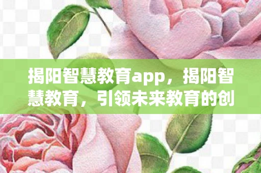 揭阳智慧教育app，揭阳智慧教育，引领未来教育的创新之路