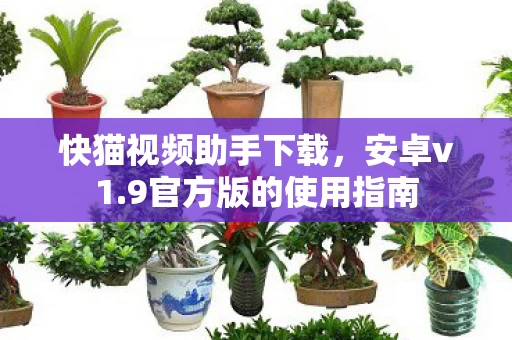 9官方版的使用指南图片
