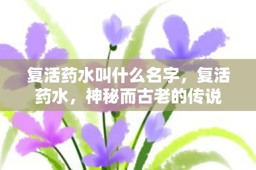 复活药水叫什么名字，复活药水，神秘而古老的传说