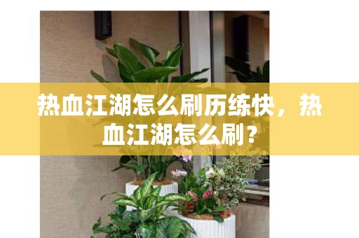 热血江湖怎么刷历练快，热血江湖怎么刷？