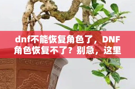 dnf不能恢复角色了，DNF角色恢复不了？别急，这里有解决办法！