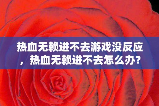 热血无赖进不去游戏没反应，热血无赖进不去怎么办？